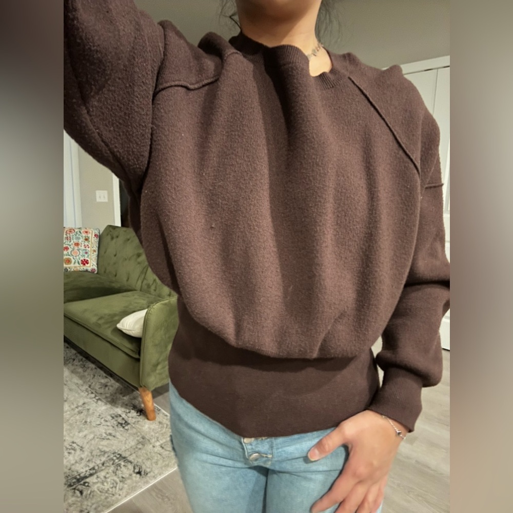 Brown Zara sweater